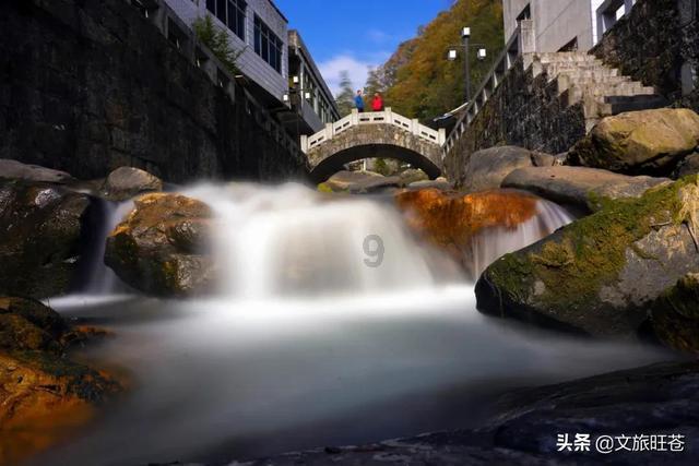 巨蟹座性格知识星球平台,深入探索专业领域